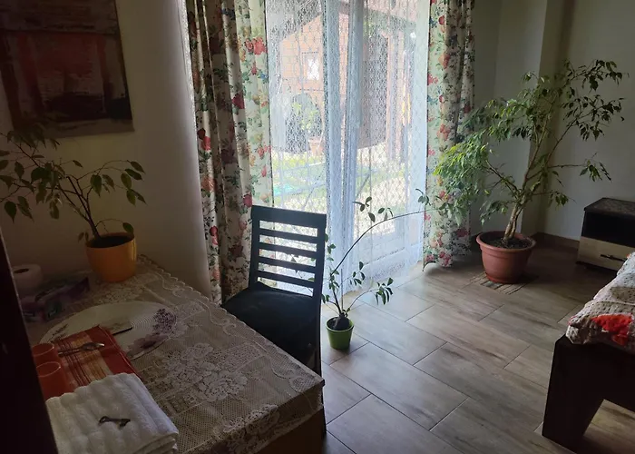 One Homestay